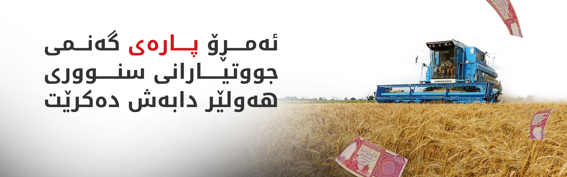 ئەمڕۆ پارەی گەنمی جووتیاران لە هەولێر دابەش دەکرێت
