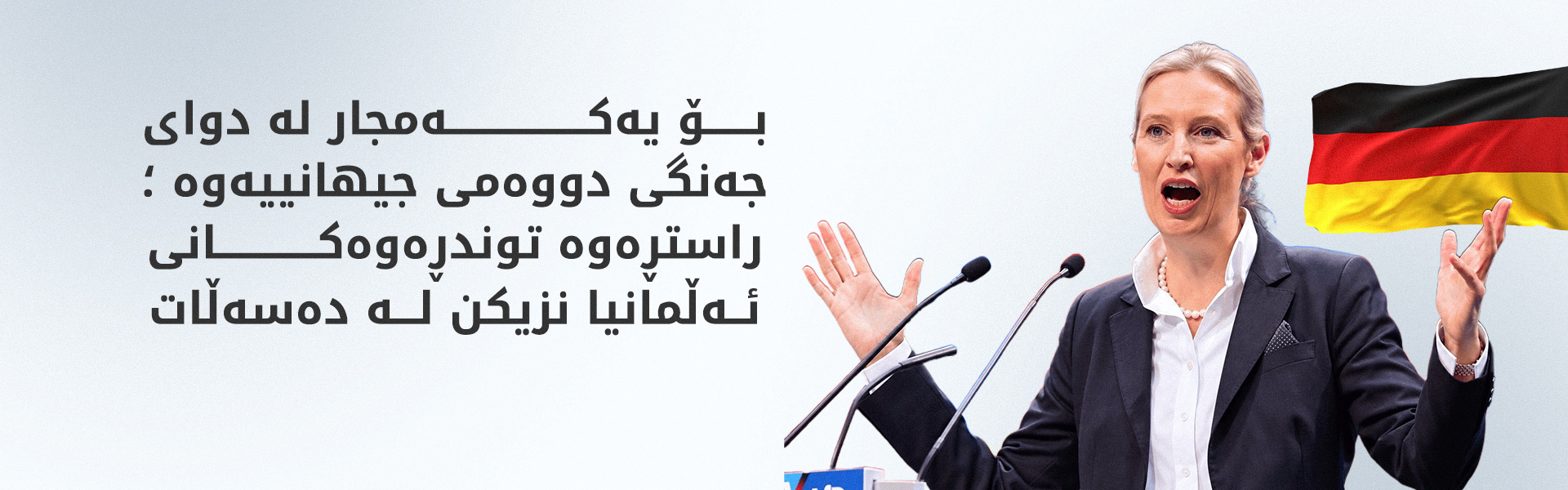 پارتی جێگرەوە بۆ ئەڵمانیا 44%ـی دەنگەکانی لە هەڵبژاردنی ئەڵمانیا بەدستهێناوە