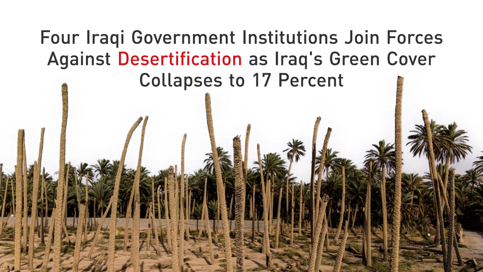 Photo Shows Dried plot of Land in Iraq (Kurdistan 24)