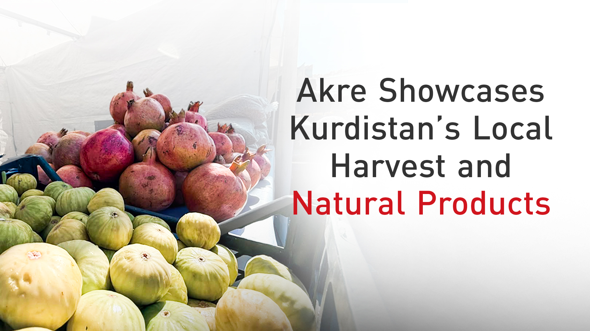 Figs and pomegranates on display at the Akre Food and Natural Products Festival in Akre, Kurdistan Region, Sept. 17, 2026. (Photo: Kurdistan24)