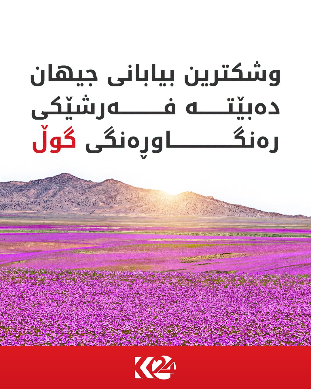 Kurdistan 24 - Facebook Social Post Banner