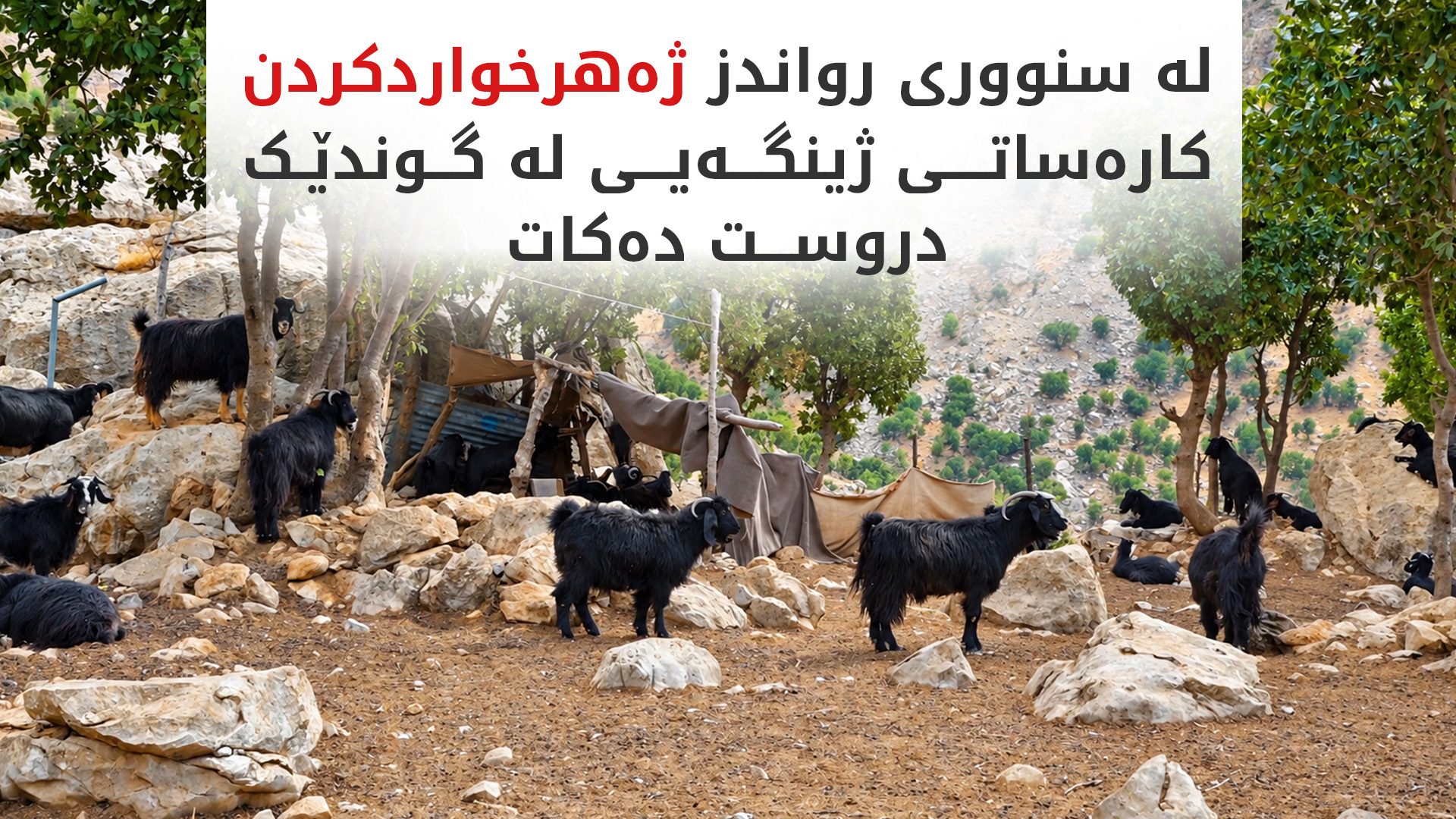 KRG PM Hawler