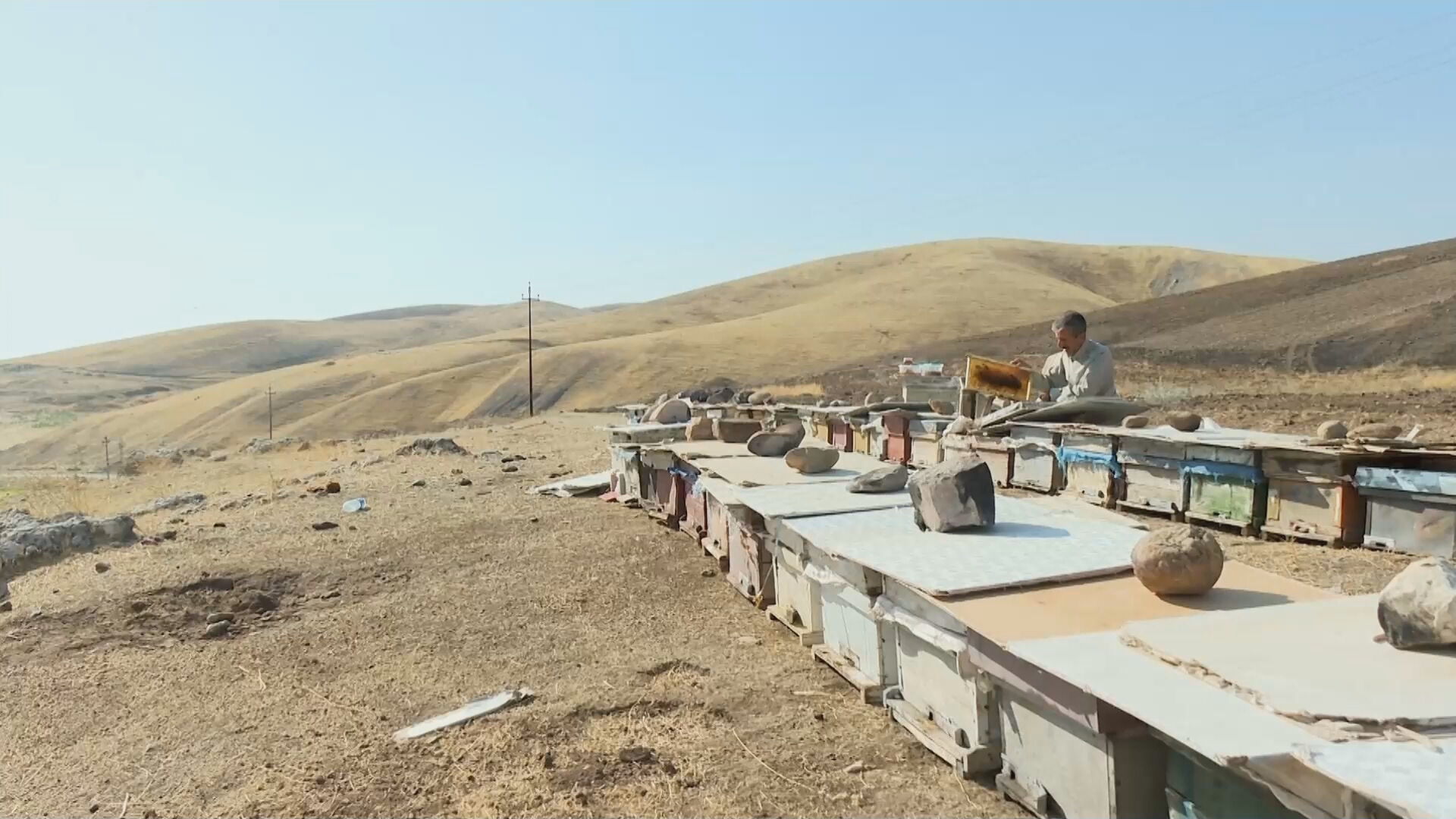 Photo shows Abduljabbar Sa'adi, a beekeeper and honey producer from Akre, Kurdistan Region. (Photo: Kurdistan24)