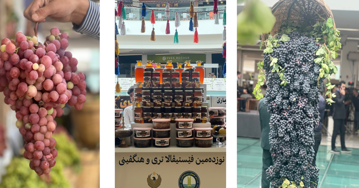 Duhok’ta 19. Üzüm ve Bal Festivali başladı
