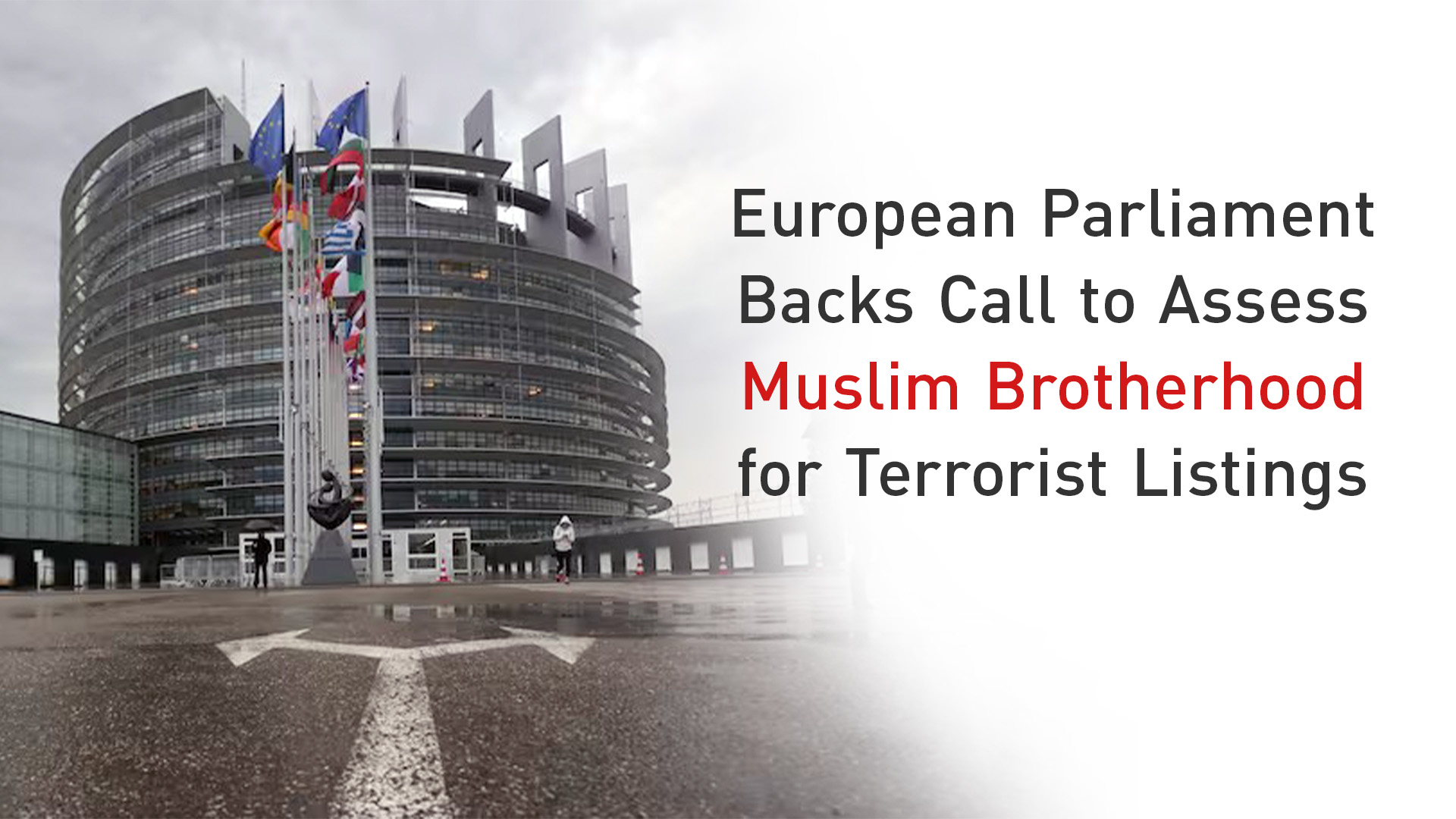 European Parliament Backs Call to Assess Muslim Brotherhood for Terrorist Listings