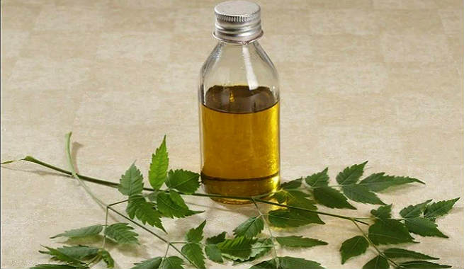 رۆنی گه‌ڵای مارۆزا