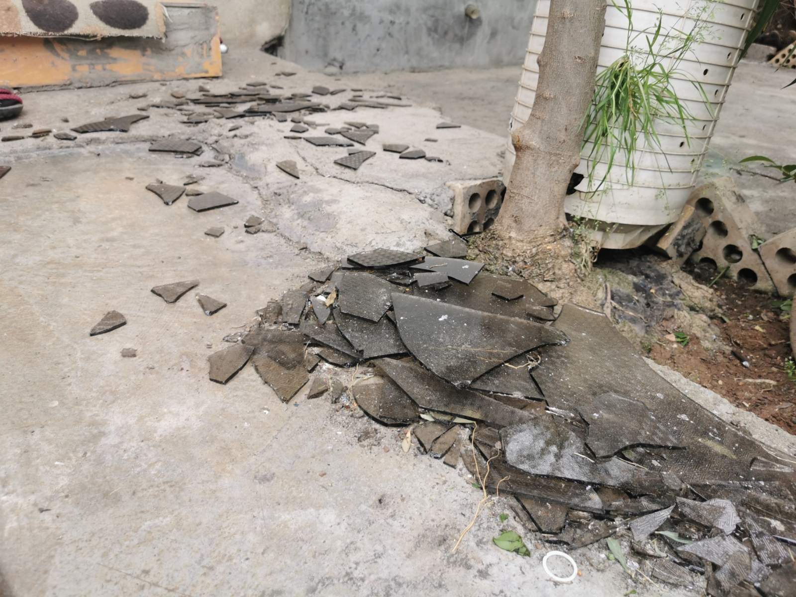 نارنجۆكه&zwnj;كه&zwnj; كه&zwnj;وتووه&zwnj;ته&zwnj; ناو ماڵی دراوسێی فازڵ به&zwnj;شاره&zwnj;تی