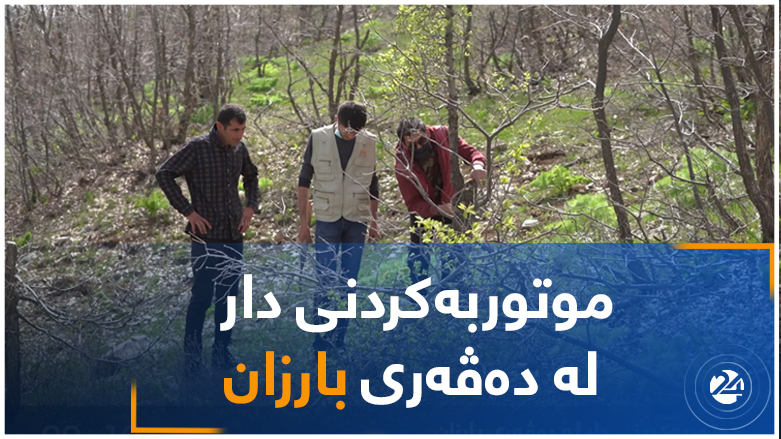 موتوربەکردنی دار لە دەڤەری بارزان