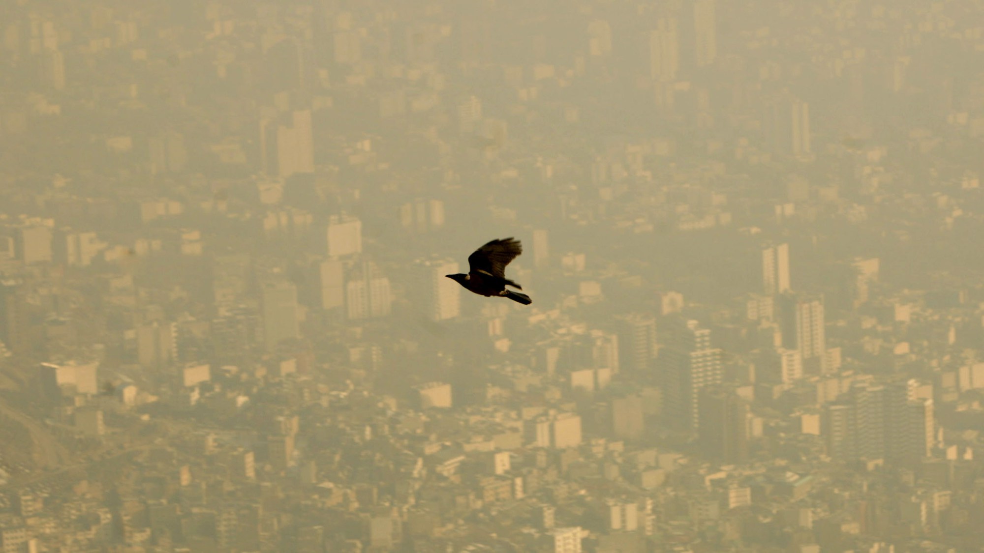 تهران روز جمعه به‌عنوان آلوده‌ترین شهر جهان مطرح شد