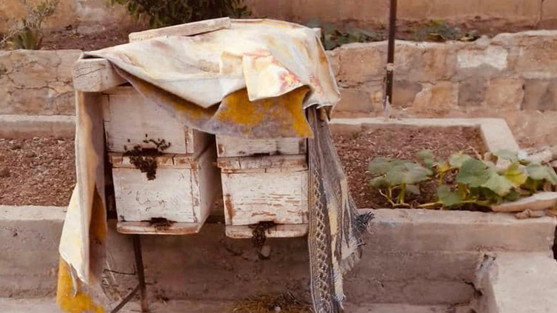 Pirojeyeke &Icirc;n&icirc;siyat&icirc;fa Leyla