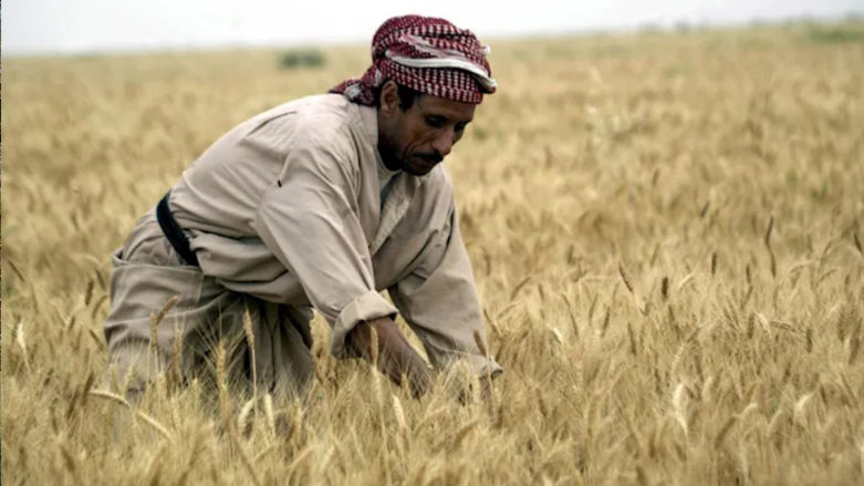 An Iraqi man collects the wheat harvest in Al-Azeir, May 2, 2007. (Photo: Essam al-Sudani/AFP)
