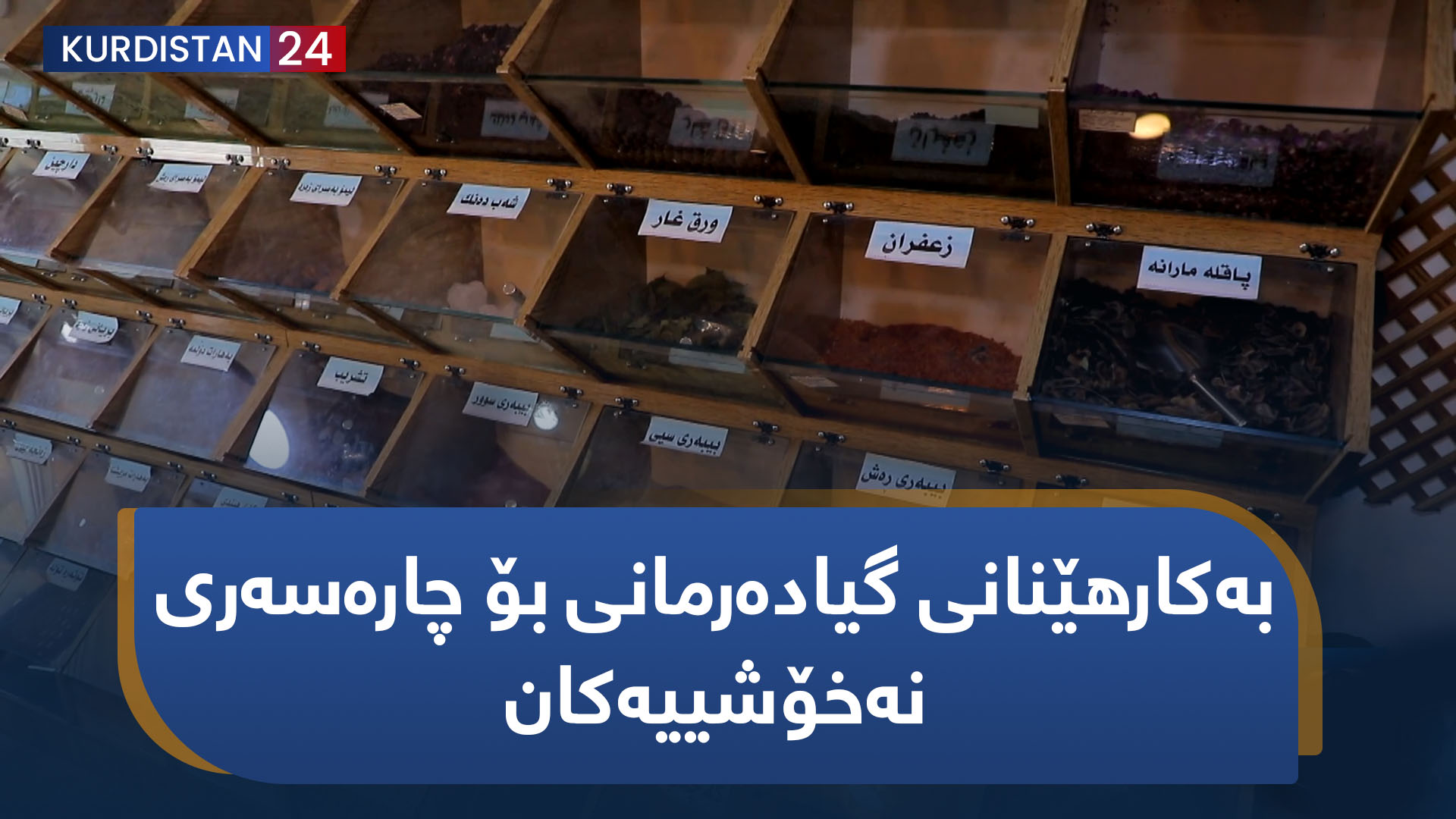 بنکۆڵ | بەکارهێنانی گیادەرمانی بۆ چارەسەری نەخۆشییەکان