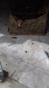 سووتانی باره‌گای ئه‌نه‌كه‌سه‌