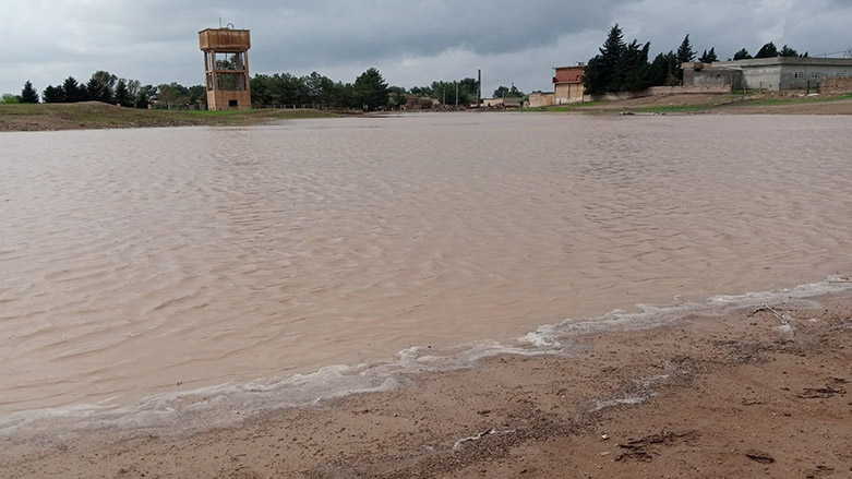 13 gundên herêma Cizîrê ji ber baran û teyrokan ziyan dîtine