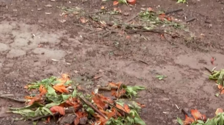 هەندێک گەشتیار سرووشتی باڵەکایەتی دەشێوێنن