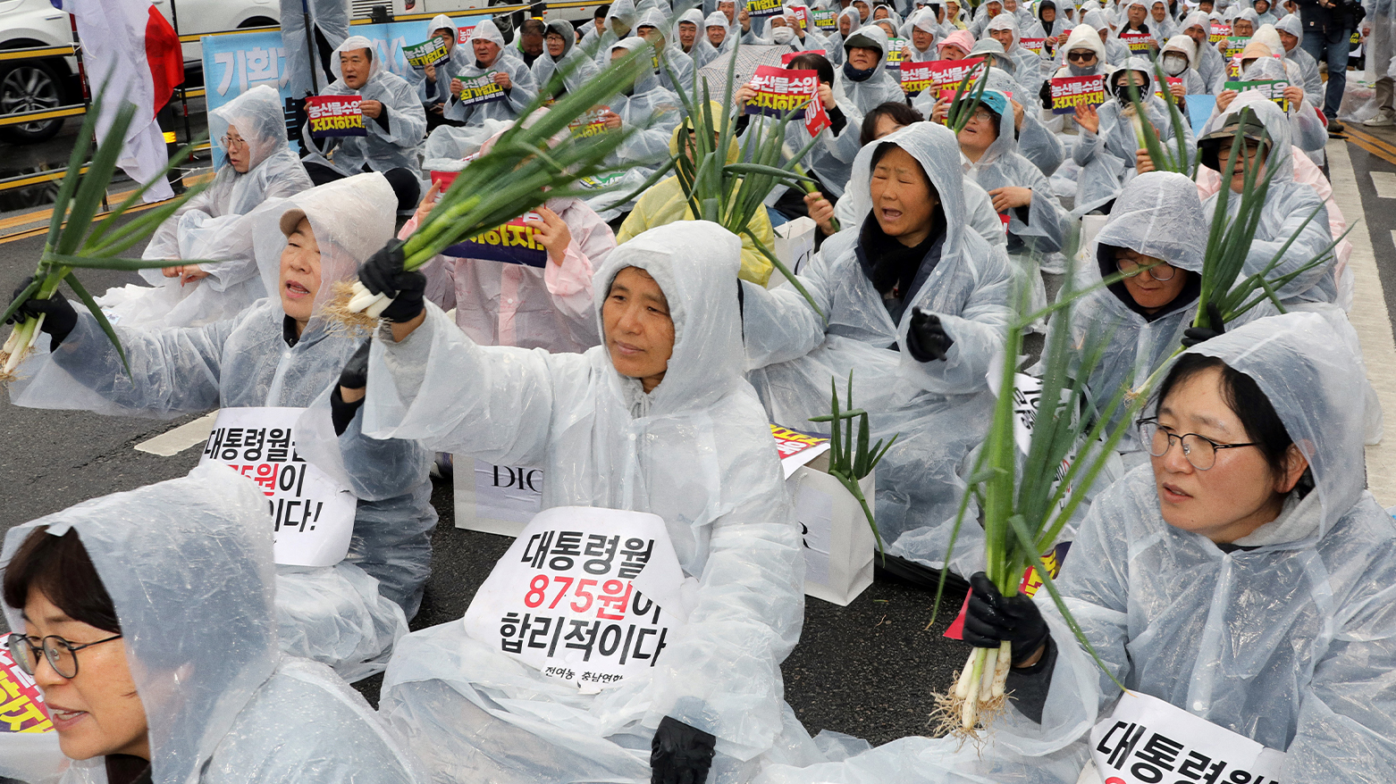 This picture shows South Korean farmers holding up green onions with a sign reading "The president's monthly salary of 875 won is appropriate!" (Photo: AFP)