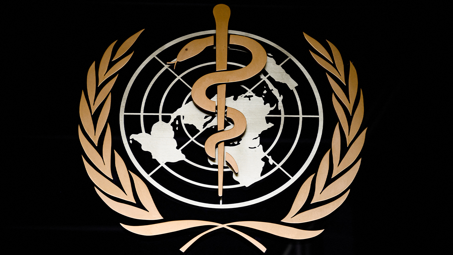 A picture taken on March 9, 2020 shows the logo of the World Health Organization (WHO). (Photo: AFP)