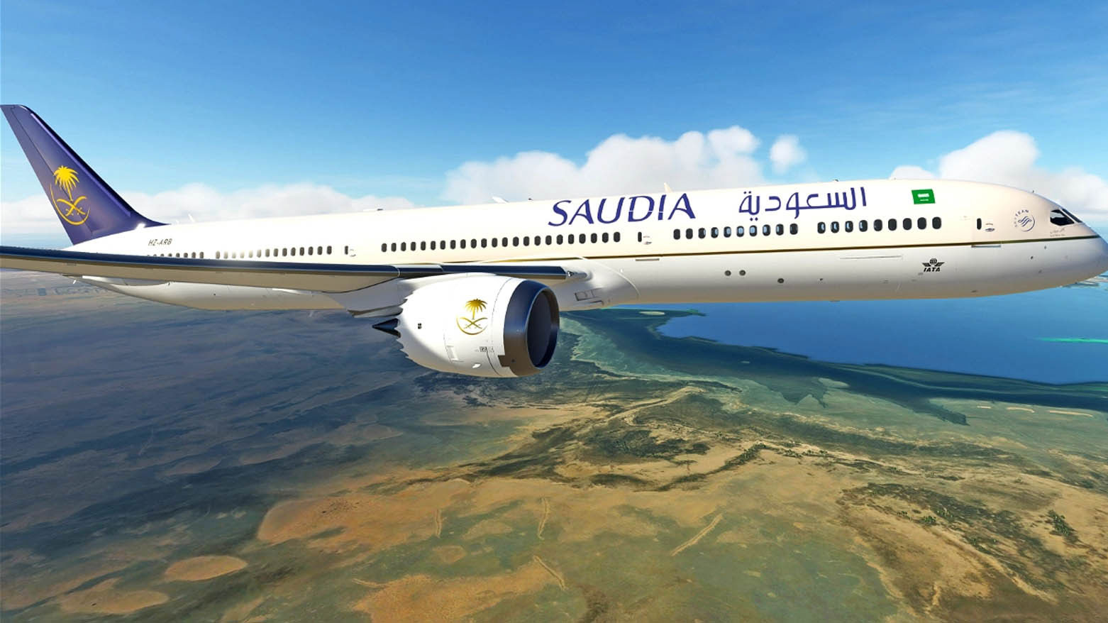 طائرة ركاب تابعة لهيئة الطيران المدني السعودي (فرانس برس)