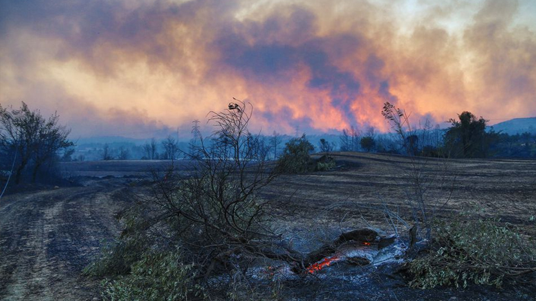 لا تزال الحكومة تحقق في أسباب الحرائق لكنها لم تستبعد نظرية الإحراق المتعمد - تصوير: رويترز