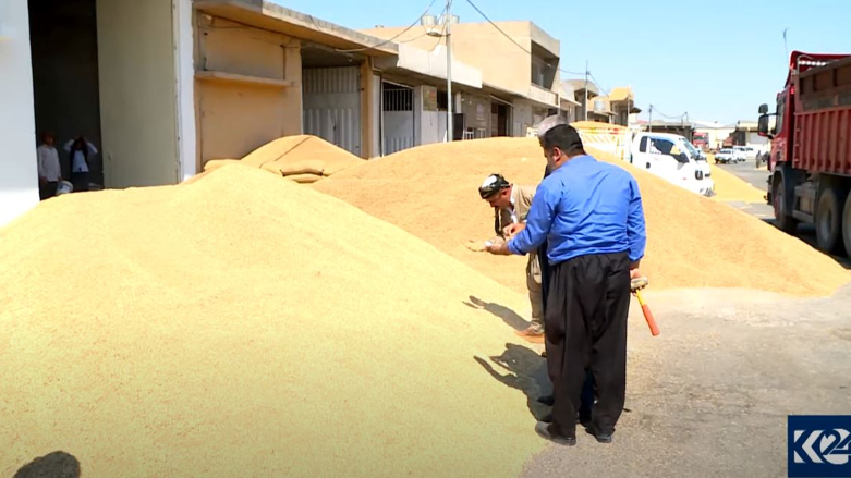 Farmers inspect their harvest of grain, Aug. 8, 2021. (Photo: Kurdistan 24)