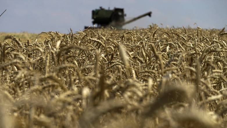 a grain combine harvester collecting wheat near Novoazovsk outside Mariupol, amid the ongoing Russian military action in Ukraine, July 31, 2022. (Photo: AFP)