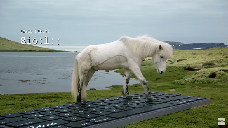 اسب ایسلندی در حال پاسخ دادن به ایمیل