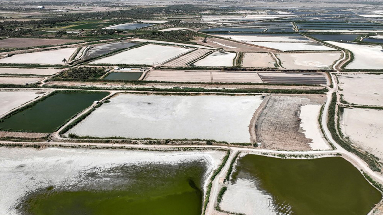 A dry fish farms in the village of Albu Mustafa in Hilla , following a crack down by the Iraqi government on unauthorised ponds in an effort to meet the country's water demands, July 6, 2023. (Photo: Ahmad Al-Rubaye/AFP)