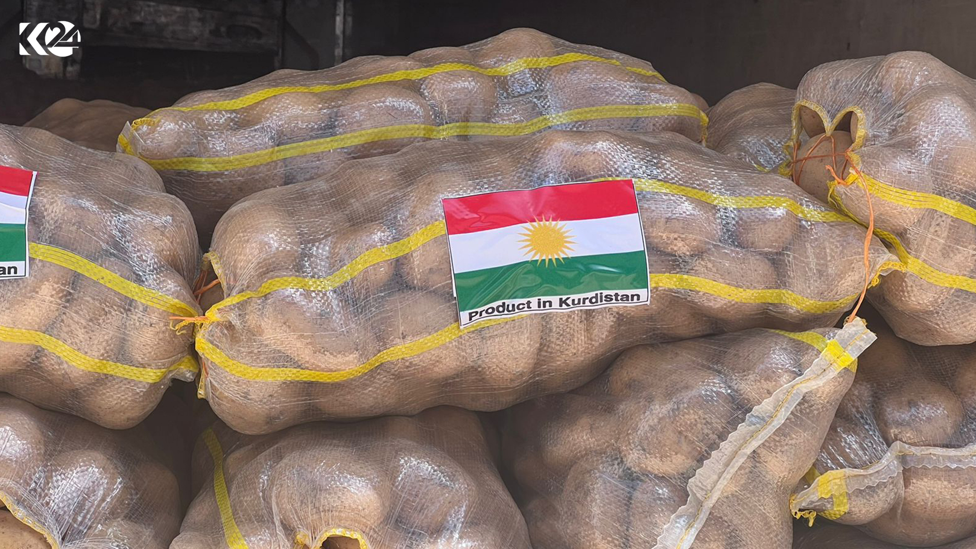 120 تۆن پەتاتەی هەرێمی کوردستان رەوانەی وڵاتی ئیمارات کران | وێنە: رێناس عەلی - کوردستان24