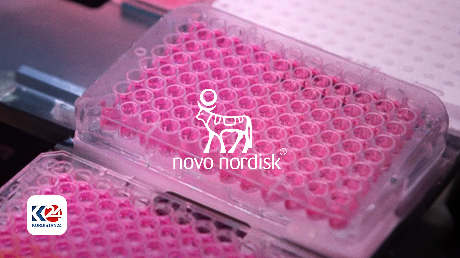 Weight-loss drug maker Novo Nordisk posts slight profit rise