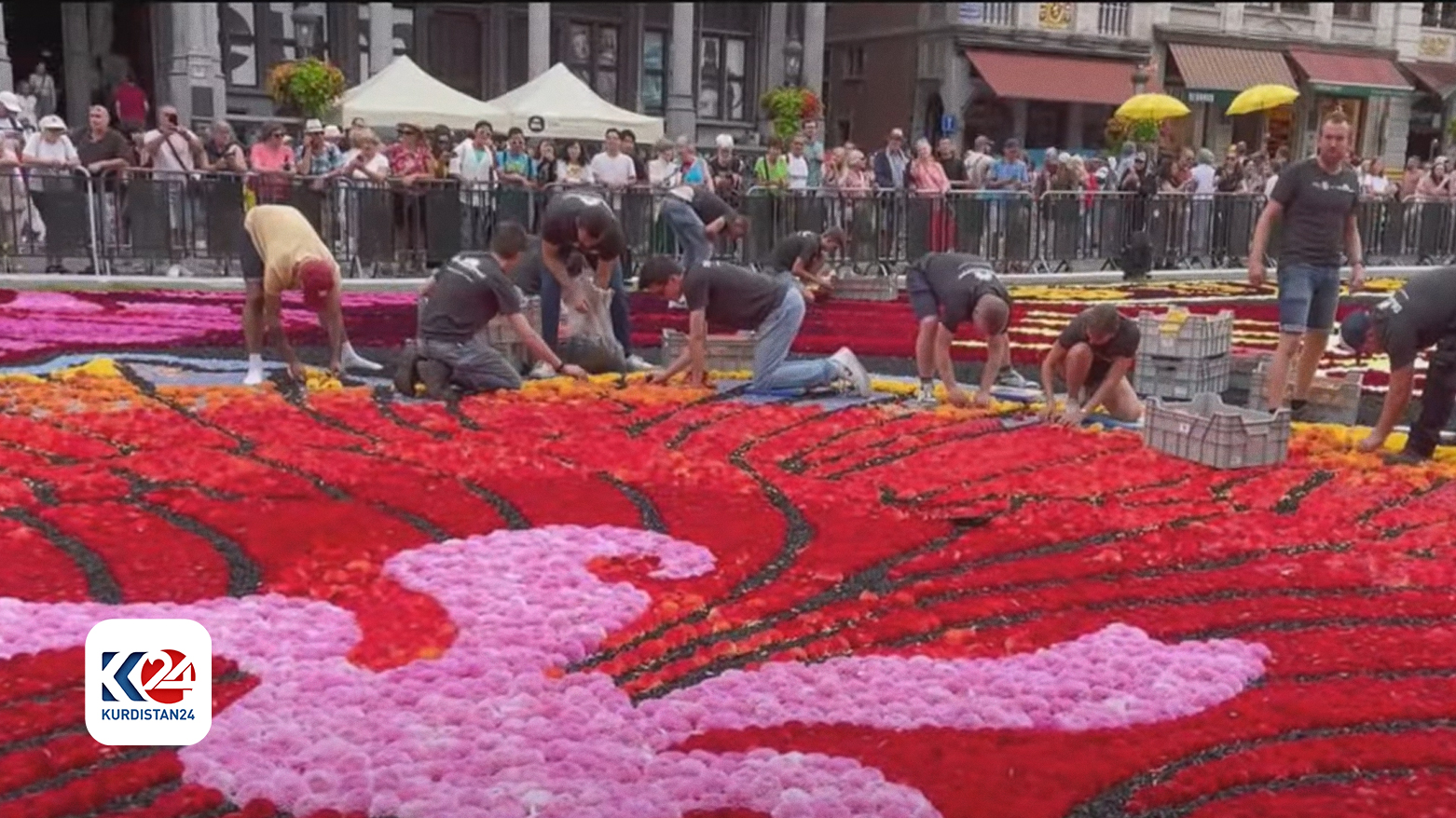 لە برۆکسل گەورەترین فەرشی گوڵ دروستکرا