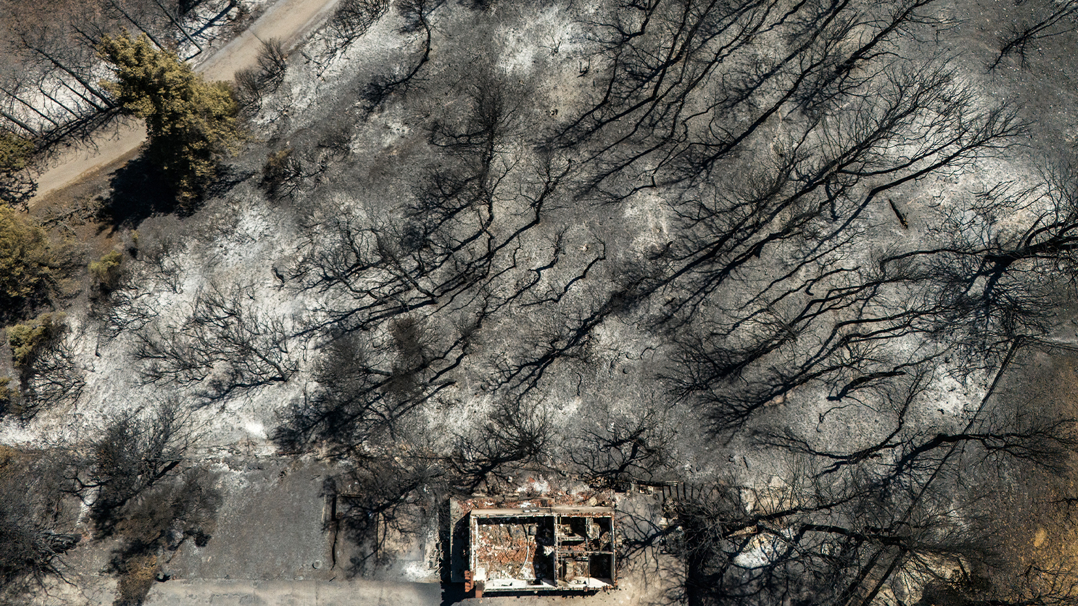 (Photo by Angelos TZORTZINIS / AFP)