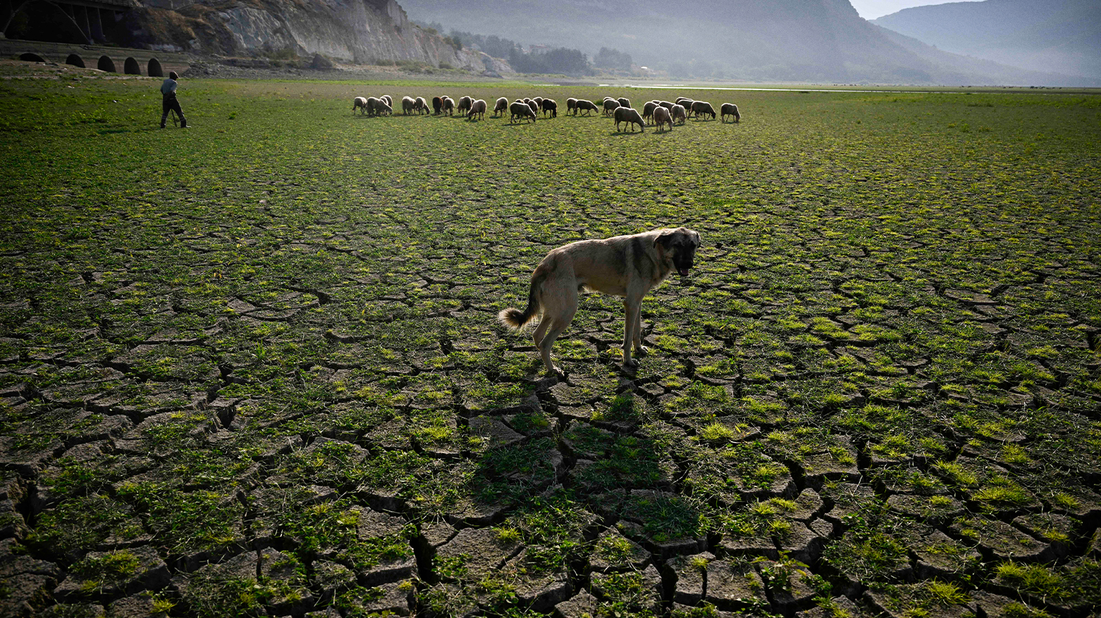 (Photo by Nikolay DOYCHINOV / AFP)