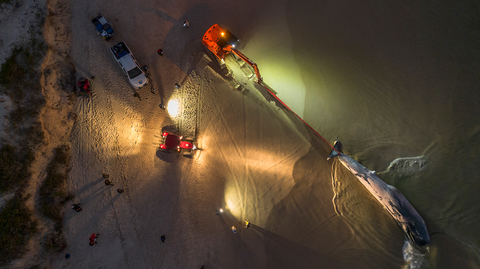 (Photo by Anderson Coelho / AFP)