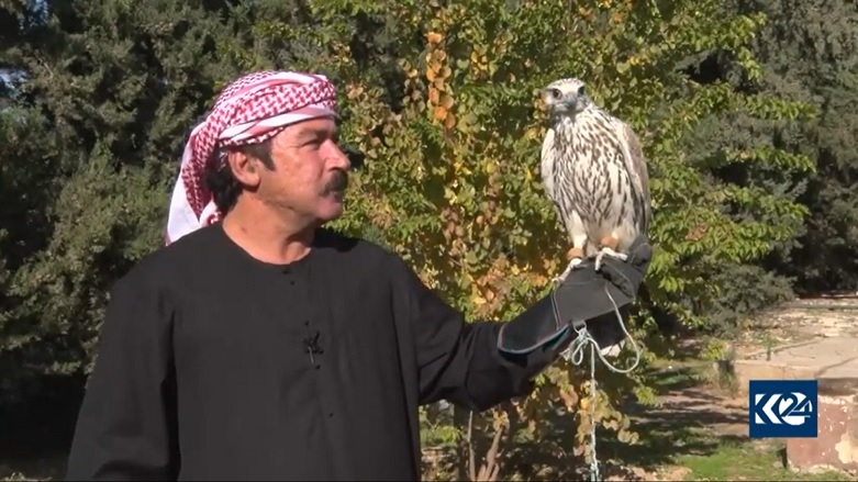 Beyaz doğan yakalandı