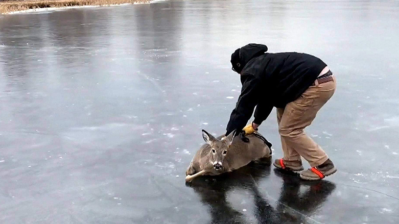 دیمه‌نێكی رووداوه‌كه‌