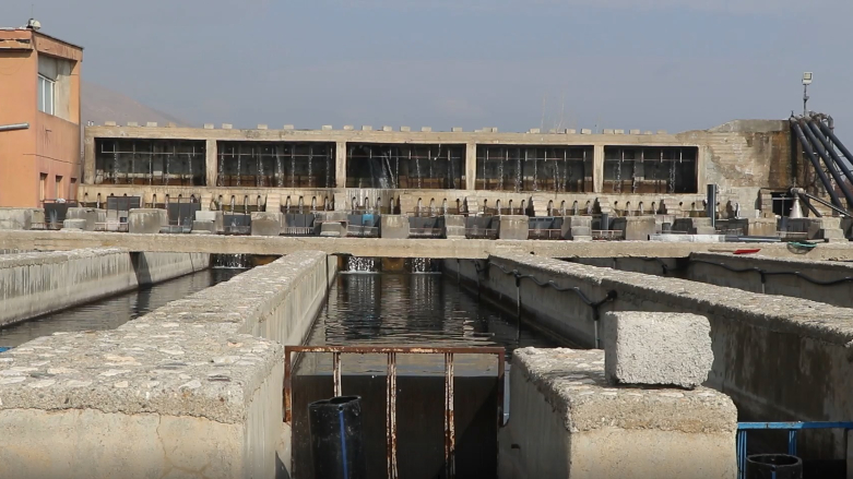 پروش ماهی قزل‌آلا