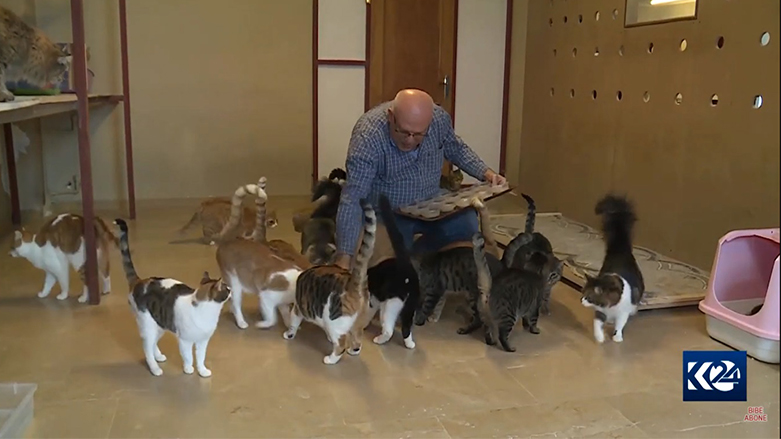 Ajalhezek beşek ji dikana xwe ji 140 pisîkan re dike stargeh