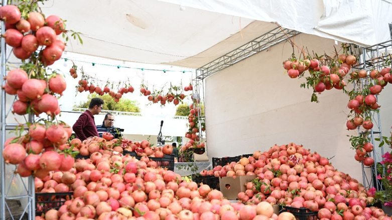 عرضه محصول انار در جشنواره سالانه انار حلبچه