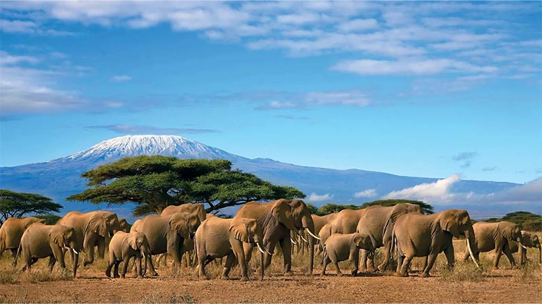 Afrika'nın en yüksek dağı olan Tanzanya'daki Kilimanjaro
