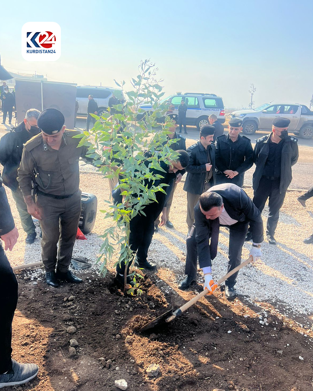 لە دهۆک 100 دۆنم زەوی بە نەمام داچێندرا (وێنە: ماهر شنگالی - کوردستان24)