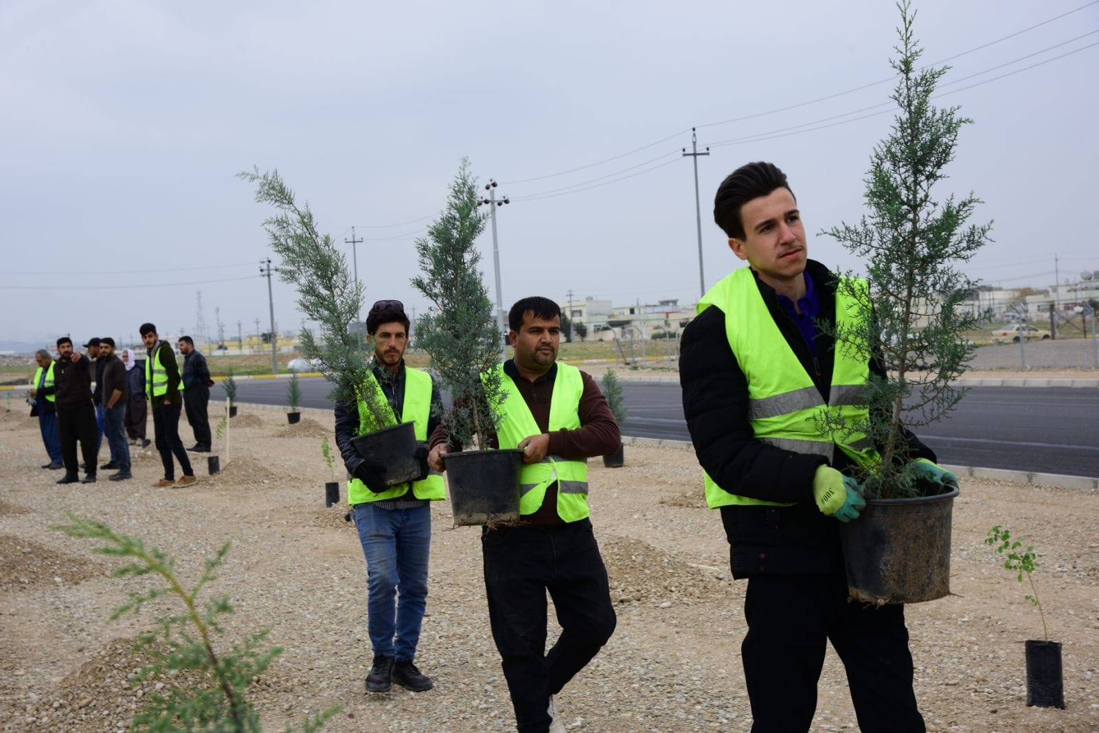 چاندنی دار و گــوڵ لەنێو شاری هەولێر (وێنە: بەڕێوەبەرایەتیی ئەندازەی پارکەکانی هەولێر)