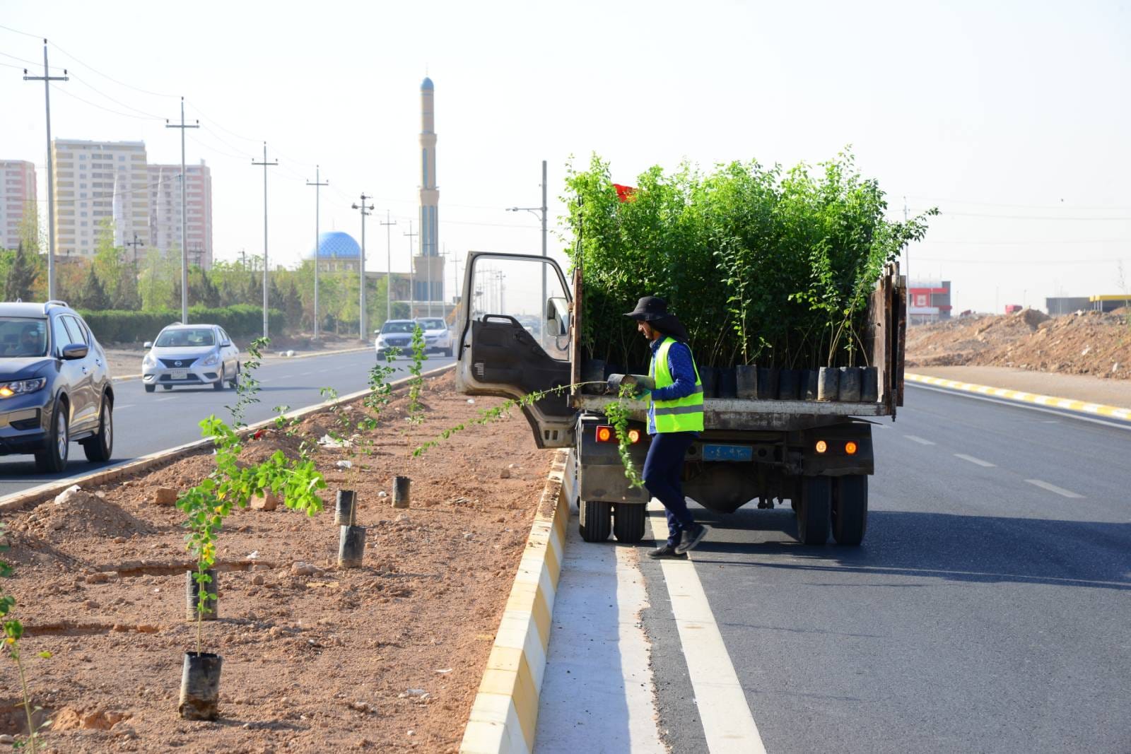 چاندنی دار و گــوڵ لەنێو شاری هەولێر (وێنە: بەڕێوەبەرایەتیی ئەندازەی پارکەکانی هەولێر)