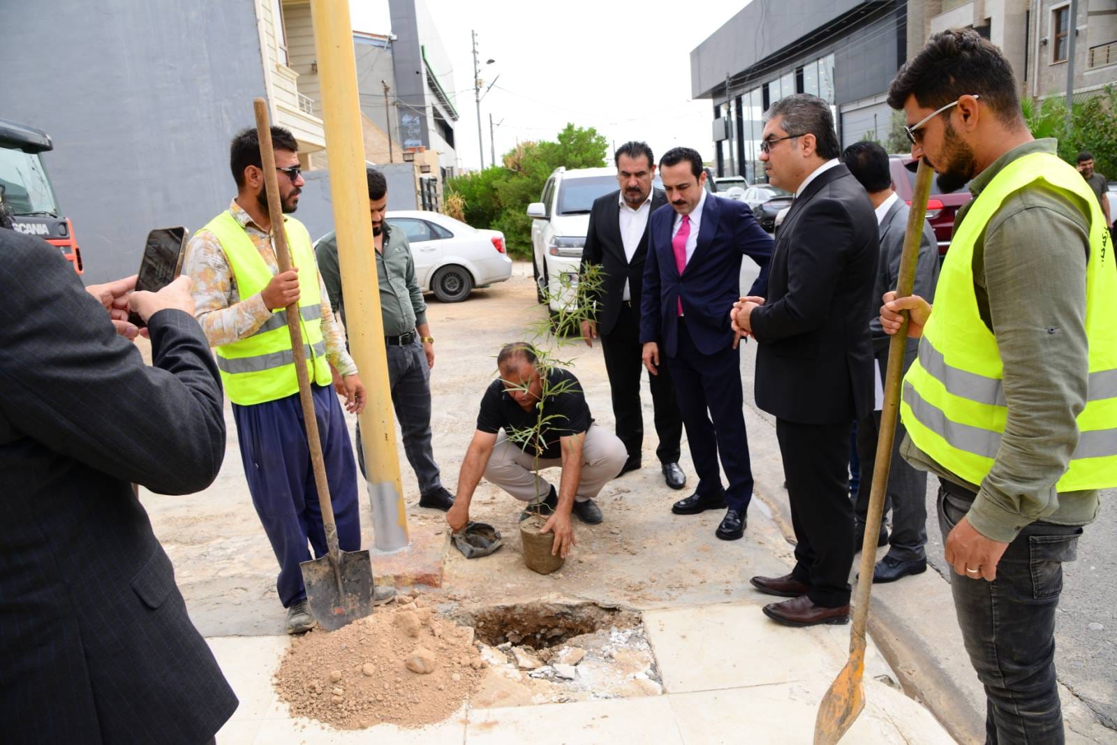 چاندنی دار و گــوڵ لەنێو شاری هەولێر (وێنە: بەڕێوەبەرایەتیی ئەندازەی پارکەکانی هەولێر)
