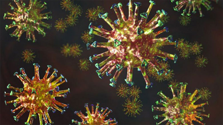 Virüsün 4 bin farklı varyantı olduğu belirtiliyor
