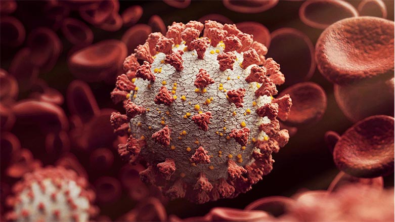 İki Covid-19 türünden gelen ‘coronavirüs melezi’ keşfedildi