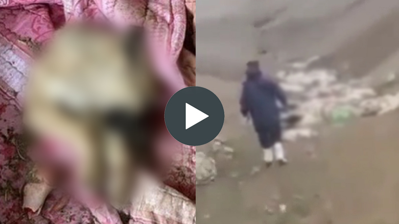 لەبارەی شێڵتەری سەگەکان لە سلێمانی روونکردنەوە دەدرێت