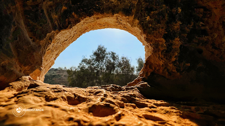 W&ecirc;ne: Star Ehmed