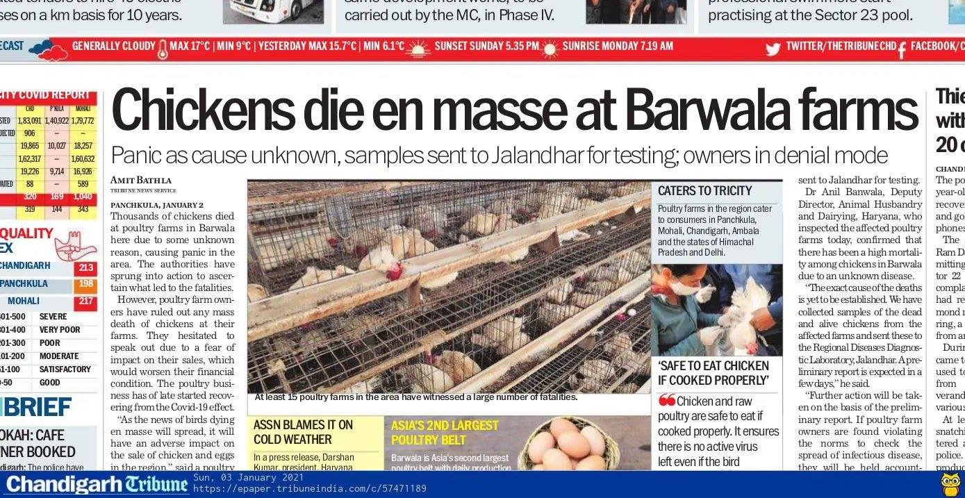 به&zwnj;پێی راپۆرتێكی رۆژنامه&zwnj;ی زه&zwnj; پرێنت -ی هندستان، له&zwnj; 5 ویلایه&zwnj;ت نه&zwnj;خۆشییه&zwnj;كه&zwnj; به&zwnj; ته&zwnj;واوی ته&zwnj;شه&zwnj;نه&zwnj;ی سه&zwnj;ندووه&zwnj;