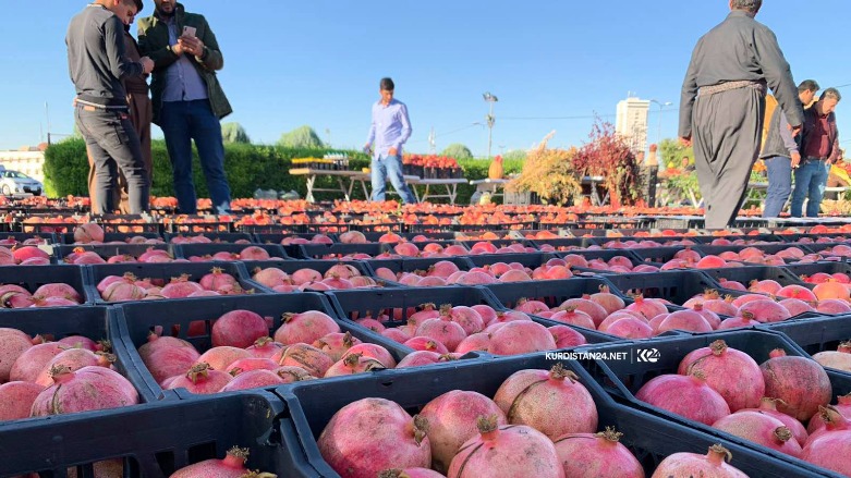 Produce is displayed at the Pomegranate Festival, held annualy at the Kurdistan Region’s province of Erbil, Nov. 2020. (Photo: Kurdistan 24)