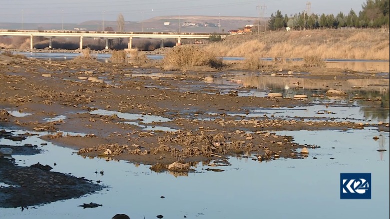 Sala borî nêzî 17 milyon kes ji mal û warên xwe koç kirine